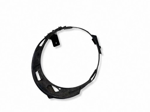 Coprifaro beetle 9c1 1c1 - beetle,