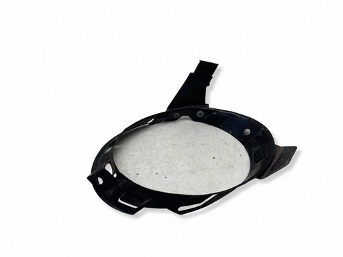Coprifaro beetle 9c1 1c1 - beetle,