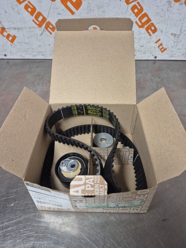 Kit cinghia distribuzione - kit,