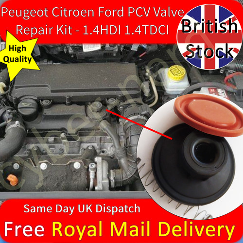 Kit riparazione valvole pcv - kit,