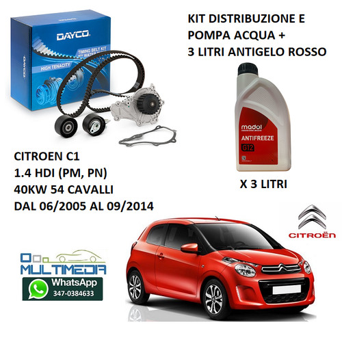 Kit distribuzione pompa - ,